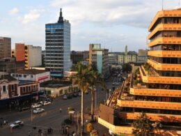 Business ideas in Kenya - Company buildings near the road