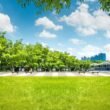 Business park landscaping with green grass and trees near the water