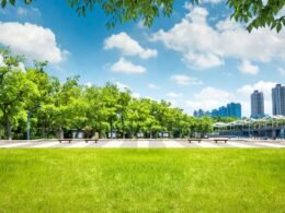 Business park landscaping with green grass and trees near the water