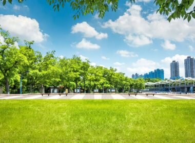 Business park landscaping with green grass and trees near the water