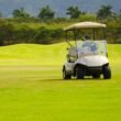 Landscape with a white custom golf cart for business