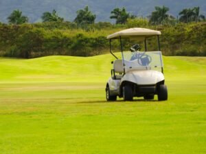 Landscape with a white custom golf cart for business