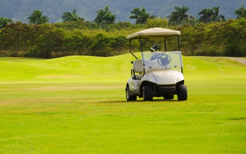 Landscape with a white custom golf cart for business