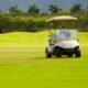 Landscape with a white custom golf cart for business